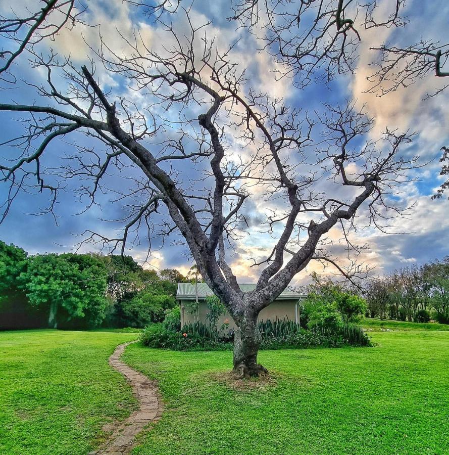 Oppieplaas Country Estate Villa Haga Haga Bagian luar foto