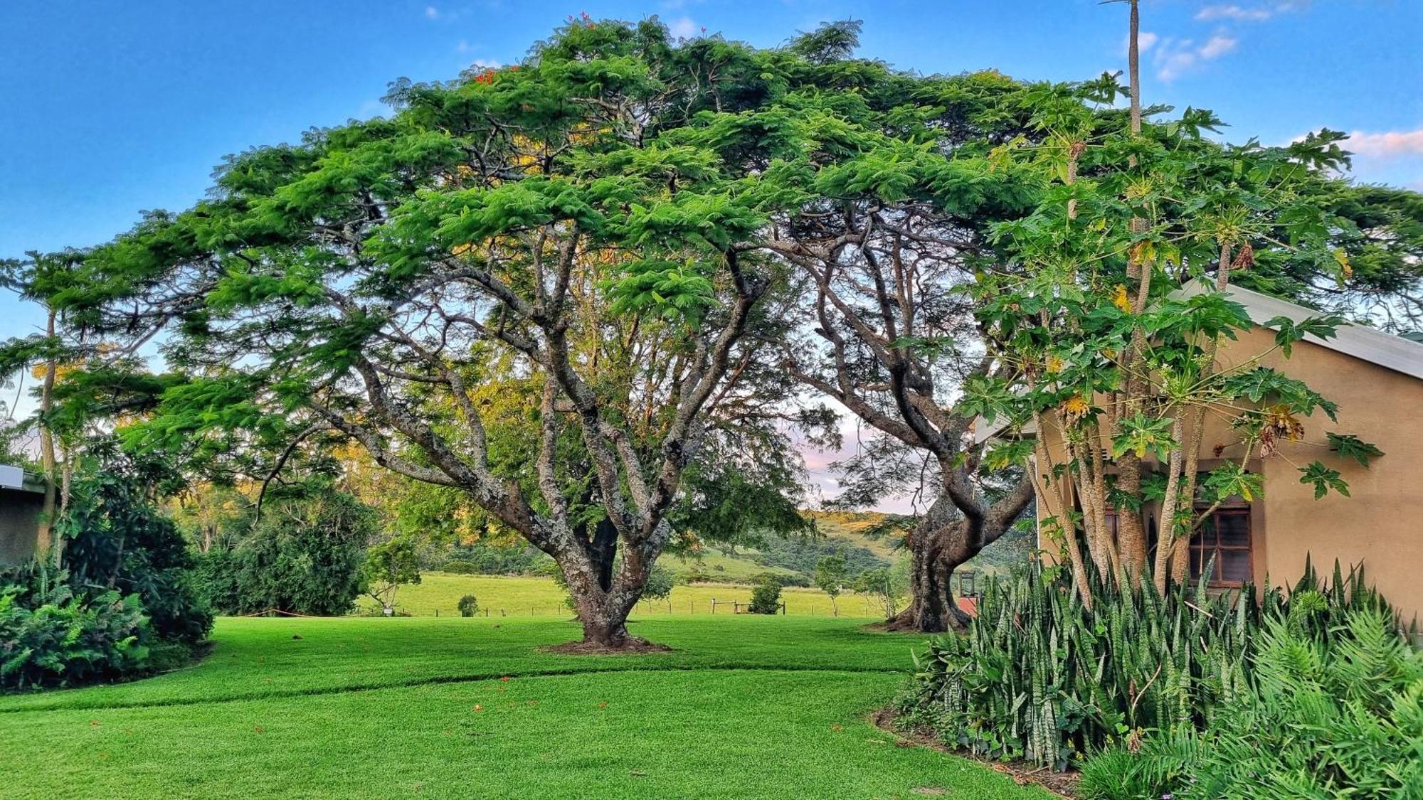 Oppieplaas Country Estate Villa Haga Haga Bagian luar foto
